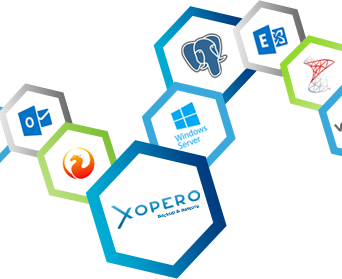 Licencja Xopero Backup & Restore Standard (10 x Endpoint Agent)