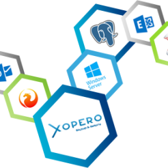 Licencja Xopero Backup & Restore Standard (10 x Endpoint Agent)